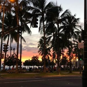 Meet your Posher, Abigail